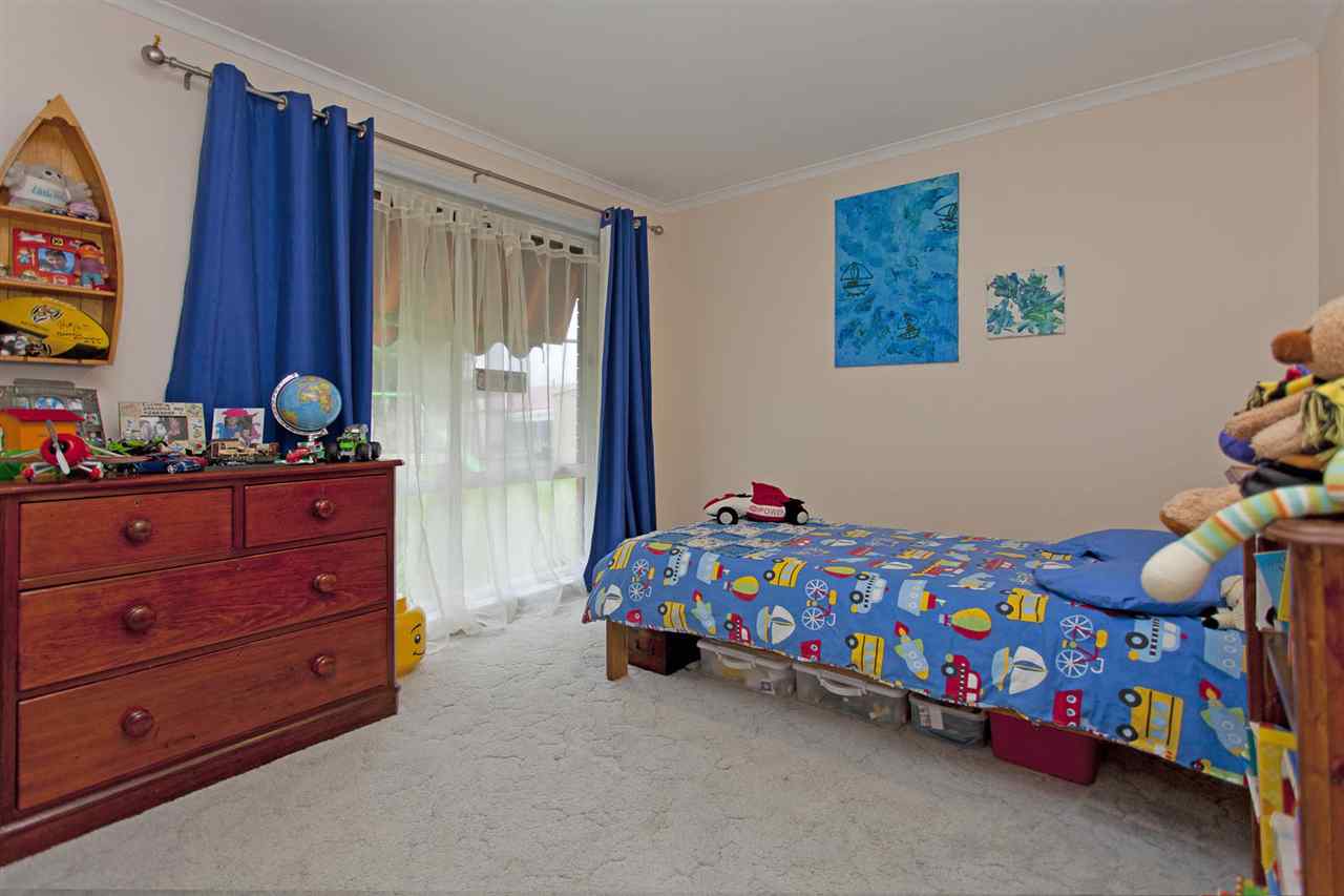 resized-2349823-edit11 kingfisher 4.JPG